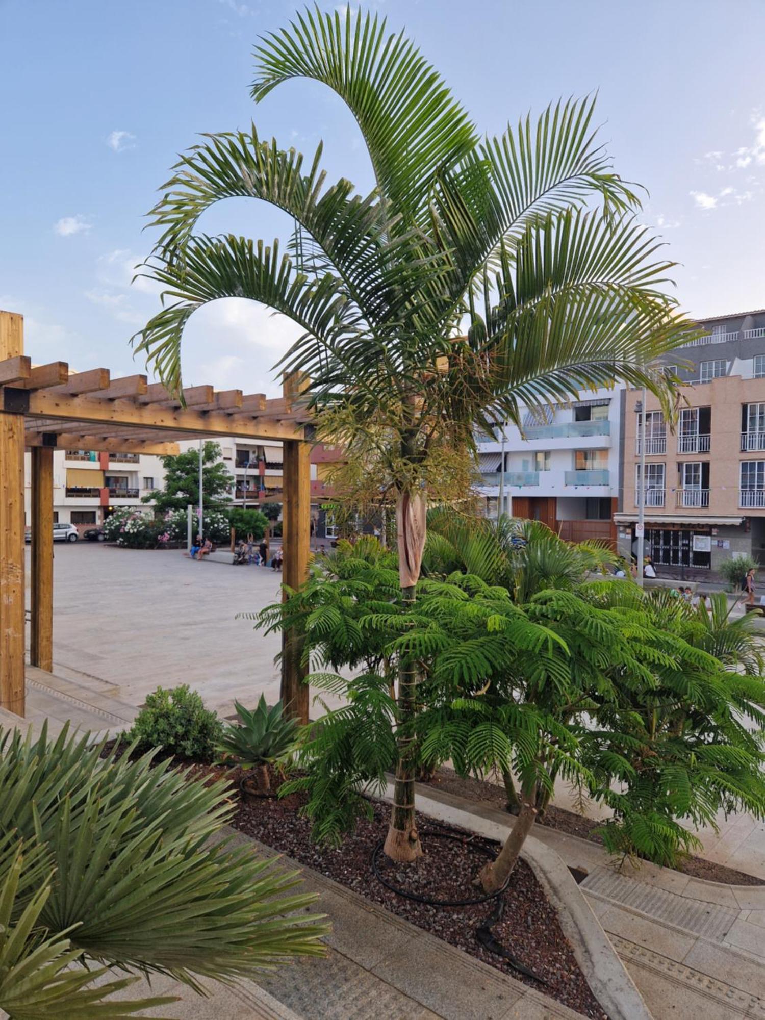Studia Puerto De Santiago Apartment Puerto de Santiago  Luaran gambar