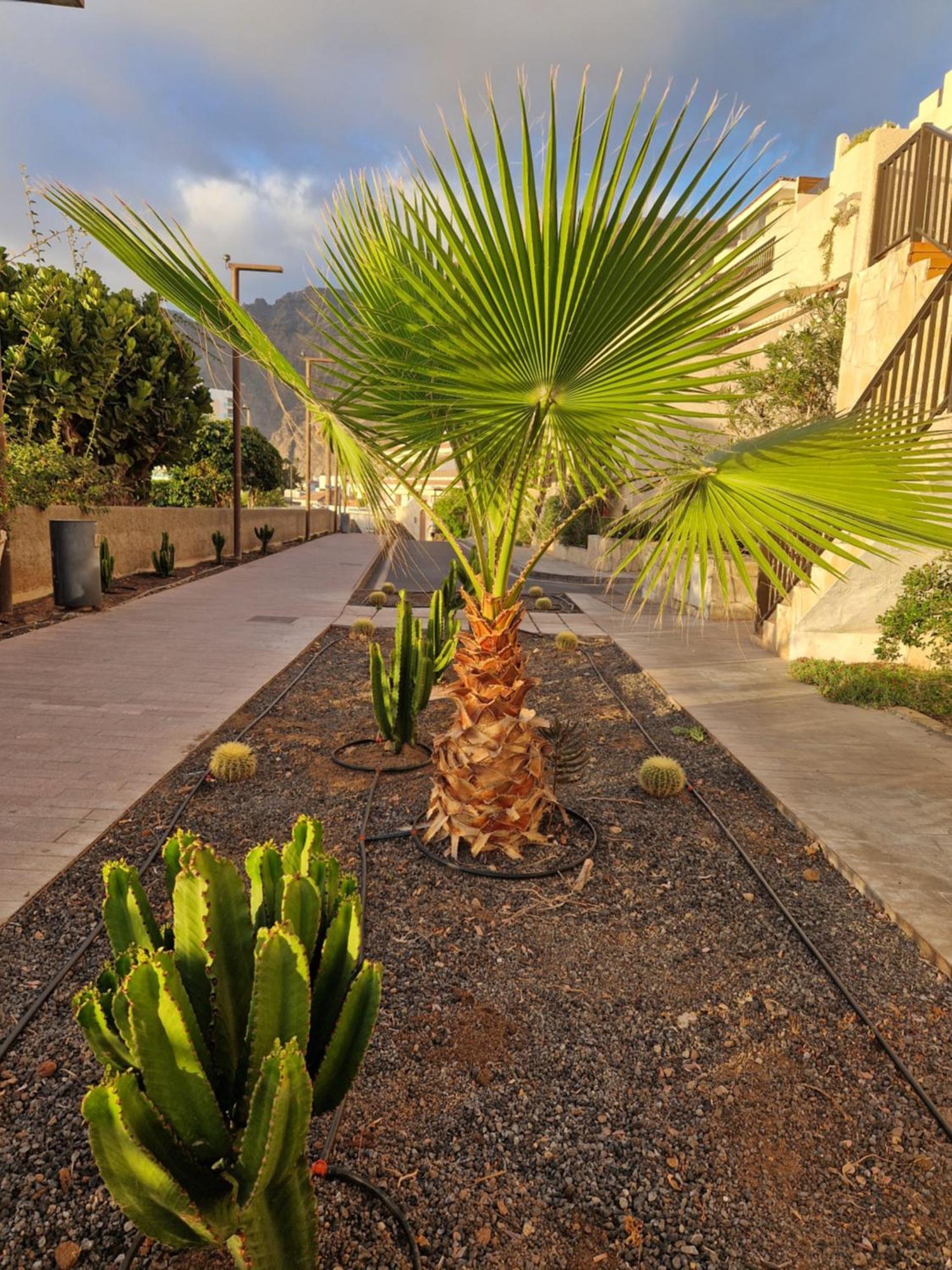 Studia Puerto De Santiago Apartment Puerto de Santiago  Luaran gambar